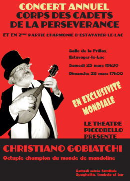 CONCERTS ANNUELS – 25 et 26 mars 2017